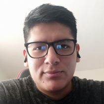 Joel Cristian Perca Quispe